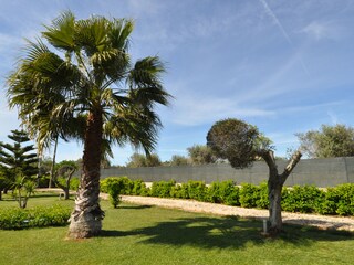 Casa per le vacanze San Vito dei Normanni Registrazione all'aperto 6