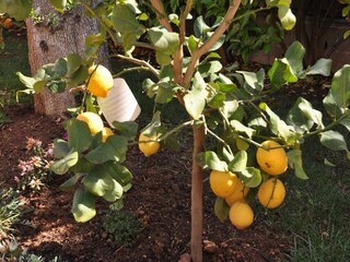 Casa per le vacanze San Vito dei Normanni Documento 42