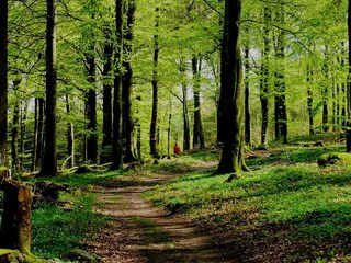 Vakantiehuis Våxtorp  20