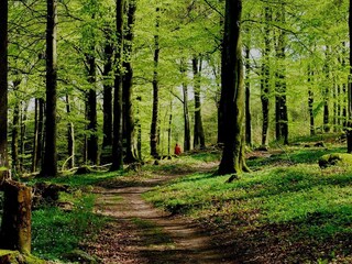 Vakantiehuis Våxtorp  23