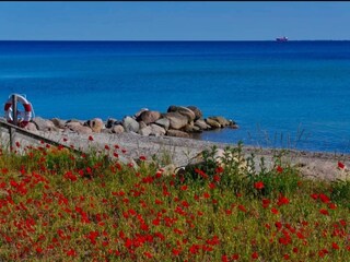 Vakantiehuis Otterup  27