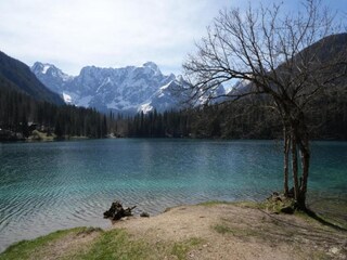 Appartamento Pallanza Ambiente 27