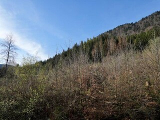 Appartamento Pallanza Ambiente 28