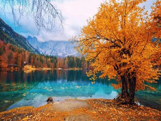 Appartamento Pallanza Ambiente 26