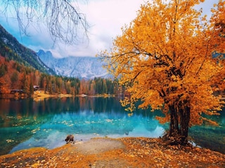 Appartement Pallanza Omgeving 27