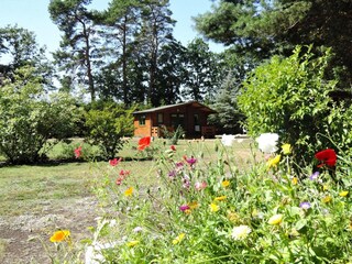 Ferienpark Misdroy Außenaufnahme 6