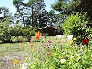 Ferienpark Misdroy Außenaufnahme 4