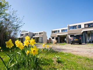 Vakantiepark De Cocksdorp  37