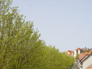 Ferienwohnung Schlossblick - Ballenstedt - image1