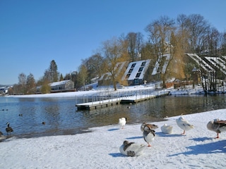 Holiday park Vielsalm Environment 34