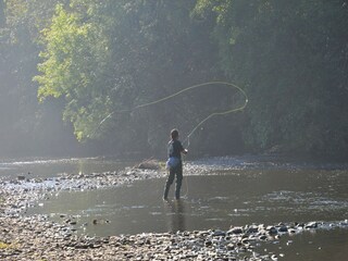 Parque de vacaciones Vielsalm Entorno 32