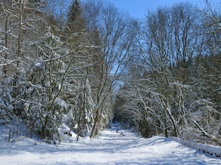 Vakantiepark Vielsalm Omgeving 16