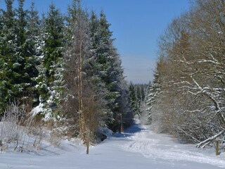 Vakantiepark Vielsalm Omgeving 34