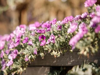 Appartement Essen Environnement 30