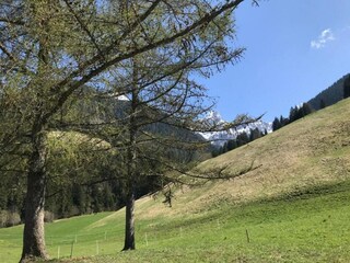 Apartment Essen Umgebung 34