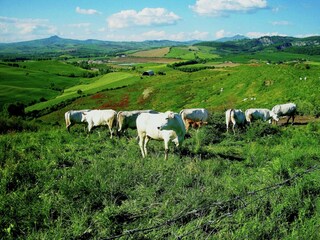 Farmhouse Proceno Environment 40