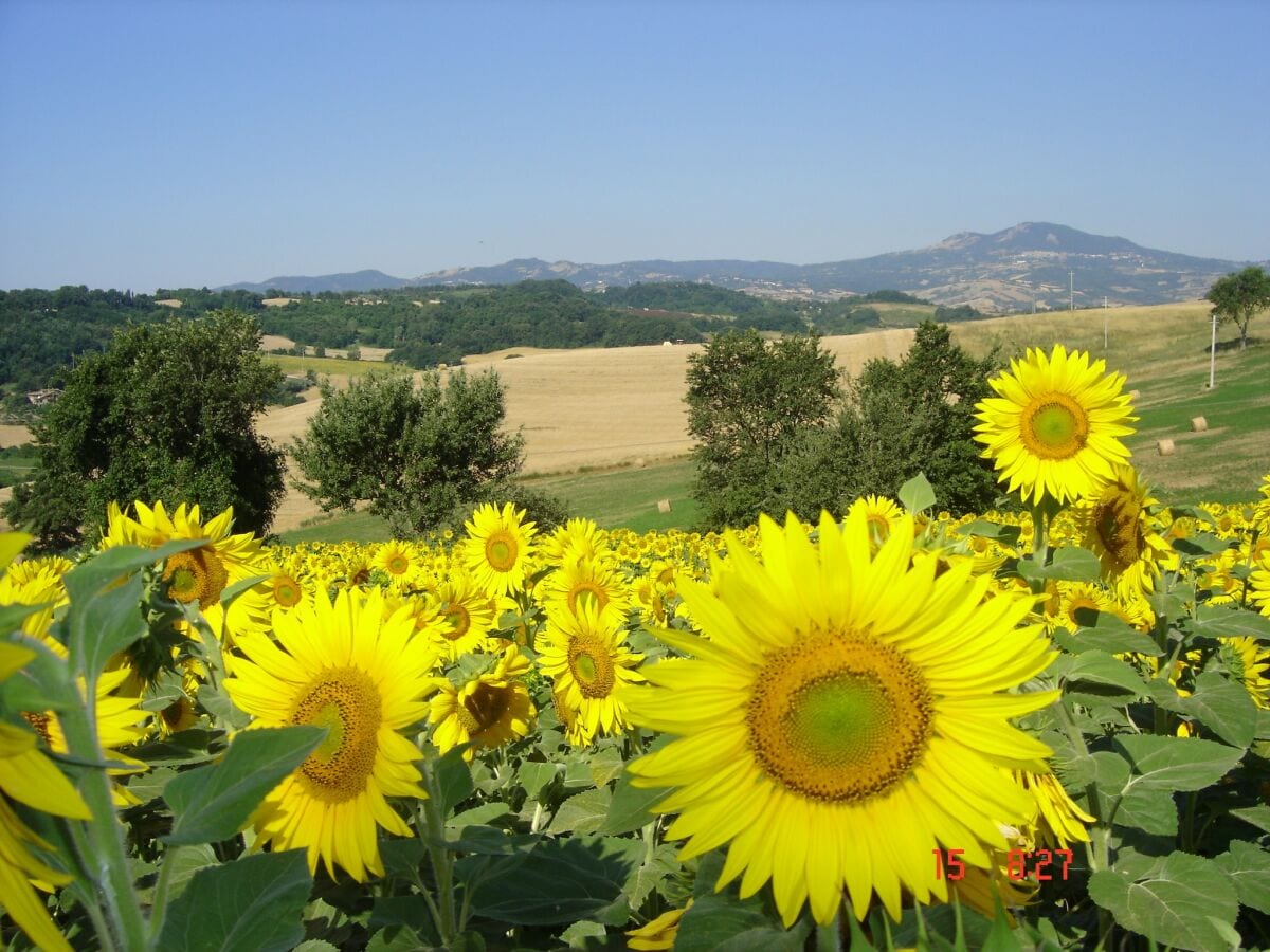 Bauernhof Proceno Außenaufnahme 7