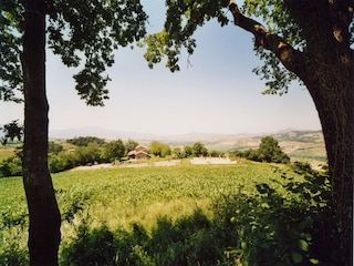 Bauernhof Proceno Außenaufnahme 16