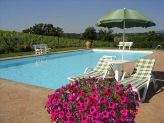 Farmhouse Proceno Outdoor Recording 16