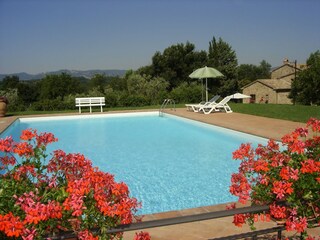 Farmhouse Proceno Outdoor Recording 6