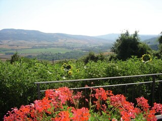 Farmhouse Proceno Outdoor Recording 26