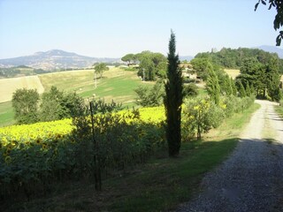 Farmhouse Proceno Environment 39