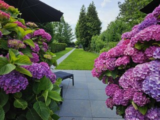 Holiday house Leuvenheim Outdoor Recording 14