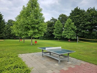 Vakantiehuis Leuvenheim Omgeving 36