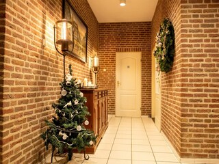 Ferienhaus Leuvenheim Ausstattung 30