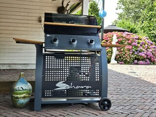 Vakantiehuis Leuvenheim  38