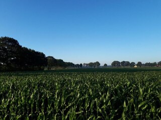 Parc de vacances Dalfsen Environnement 14