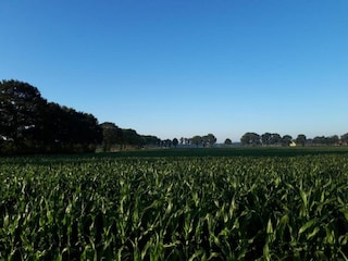 Ferienpark Dalfsen Umgebung 19