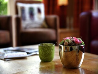 Vakantiepark Dalfsen  35