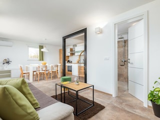 Casa per le vacanze Valbandon Caratteristiche 22