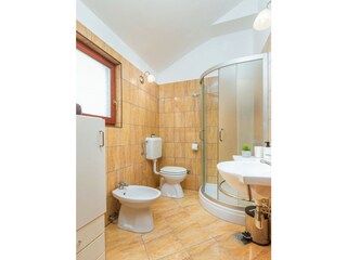Ferienhaus Valbandon Ausstattung 63