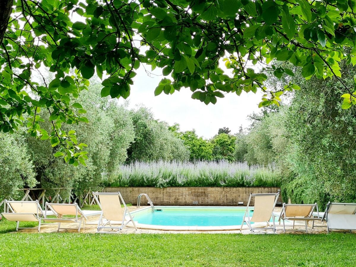 Pool und Garten il Vignaccio