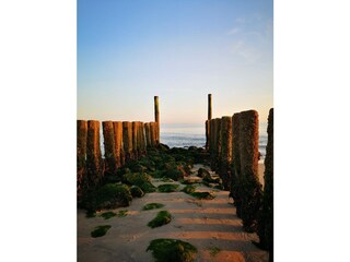 Casa per le vacanze Zoutelande Ambiente 33