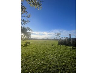 Blick von der Wiese Richtung Bodden
