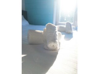 Villa Egmond aan Zee Caratteristiche 28