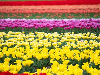 Villa Egmond aan Zee Ambiente 37