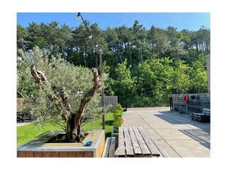 Villa Egmond aan Zee Registrazione all'aperto 4