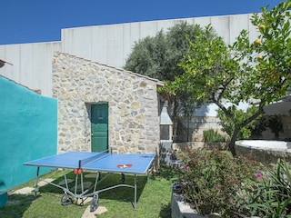 Villa Sa Pobla Ambiente 42