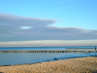 Ferienwohnung Zingst Umgebung 19