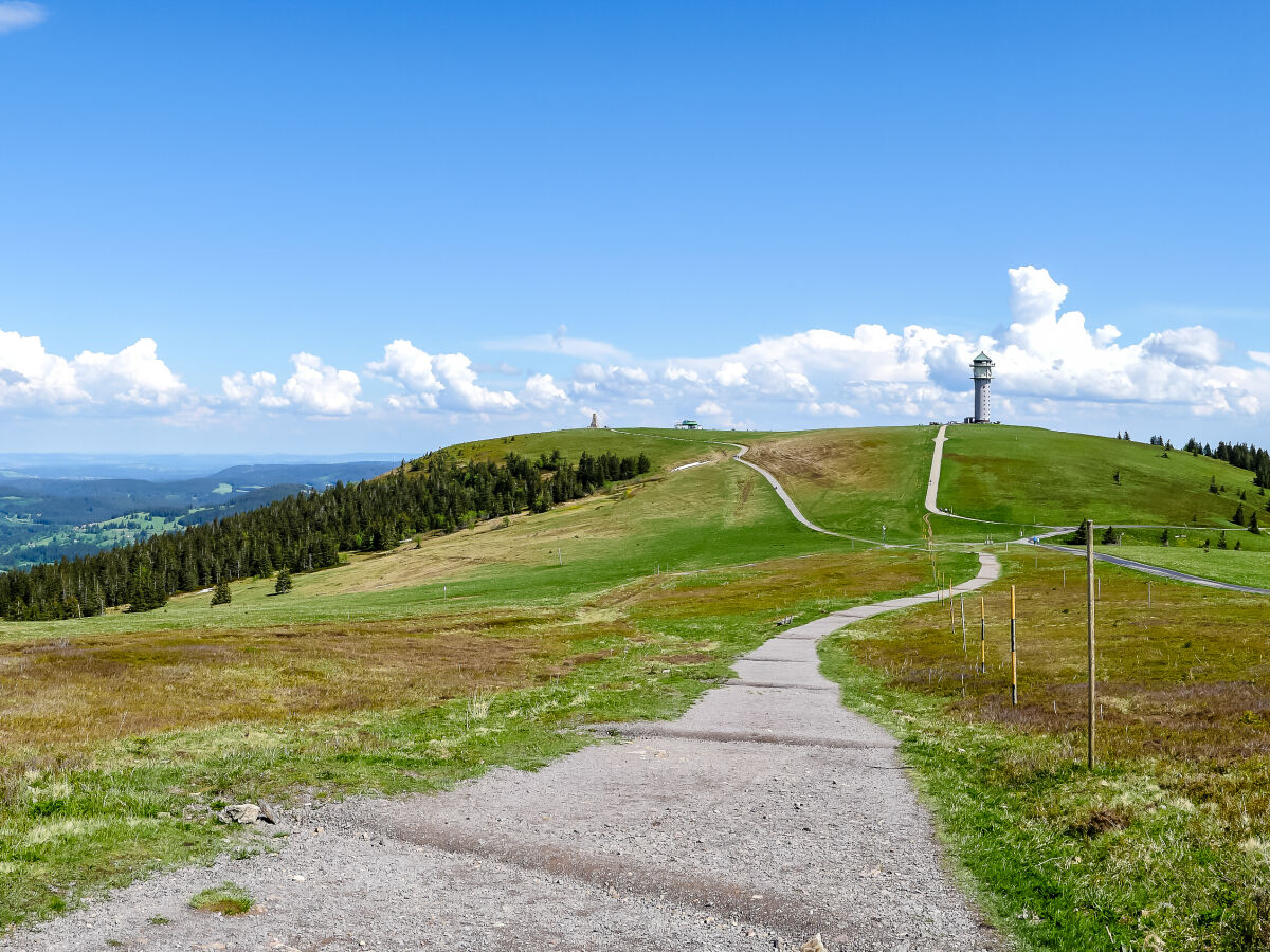 Feldberg im Sommer