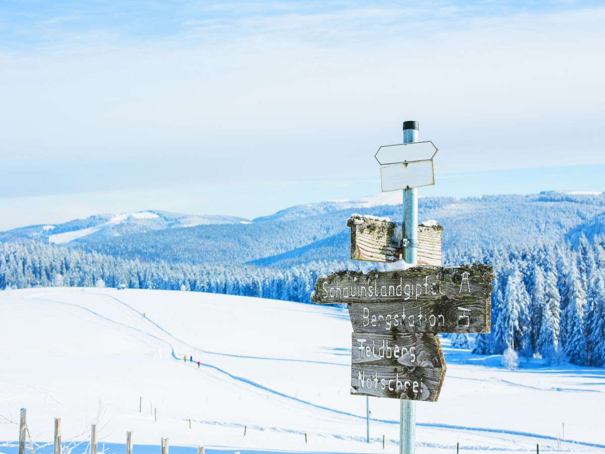 Feldberg im Winter