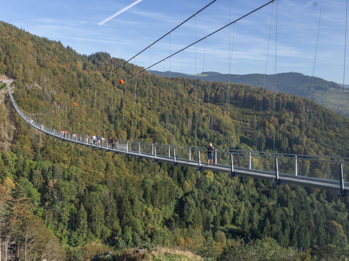 Hängebrücke über den Todtnauer Wasserfällen