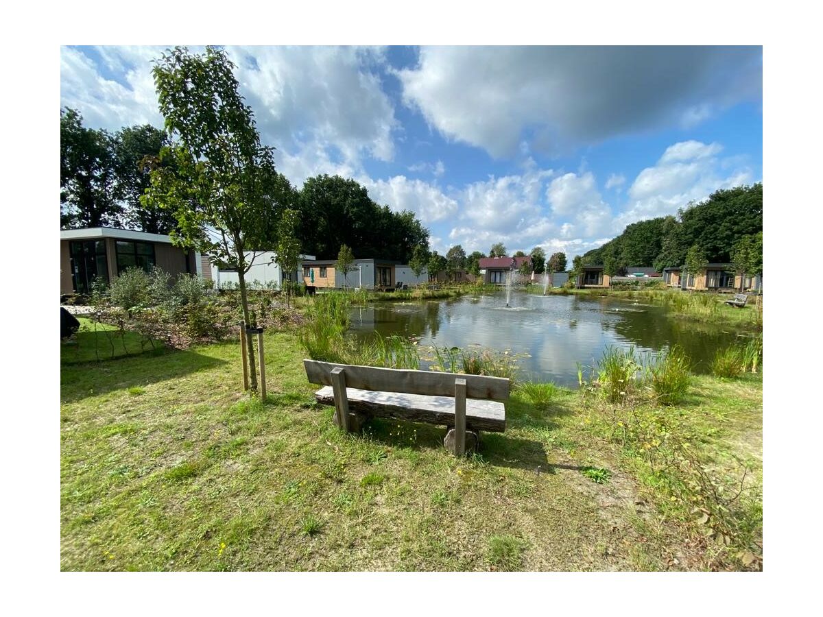 Pond with view