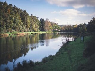 Bungalow Robelmont Omgeving 26