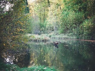 Bungaló Robelmont Entorno 38