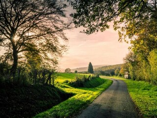 Bungaló Robelmont Entorno 39